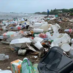 Plastic waste on beach